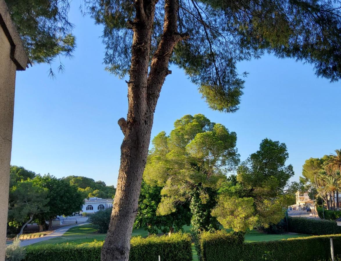 Villa Descanso Golf Villamartin  Exterior photo